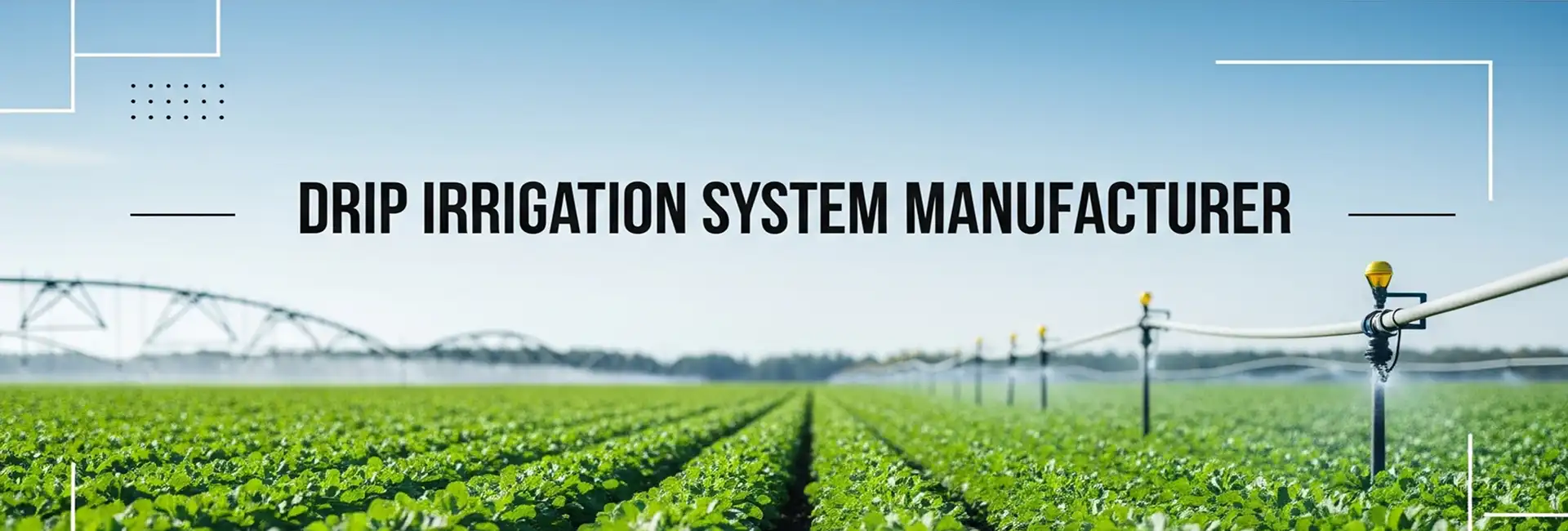 Packaging Machinery Exporter, Packaging Machinery India